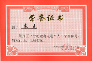 勞動競賽先進(jìn)個(gè)人